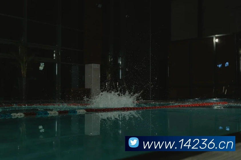 App Interface Preview