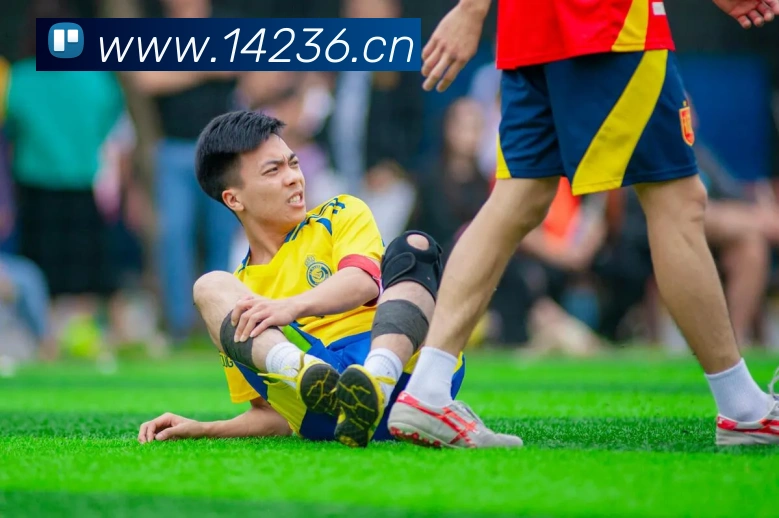 易倍emc网页登录APP 封面图